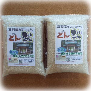 �����Đ^��p�b�N�S�s