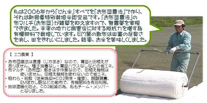 ���z�c�_�@�̕��i