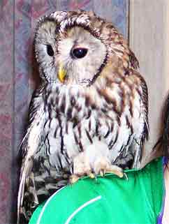 fuku91803.jpg(9571 byte)