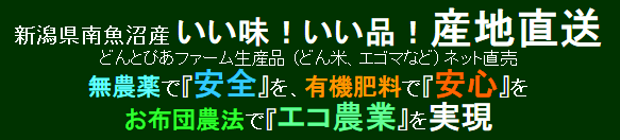 �V�����싛���s�Y �������I�����i�I�Y���V���b�v