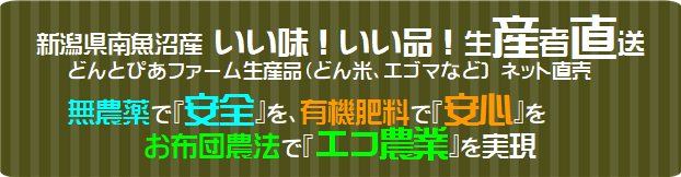 �V�����싛���s�Y �������I�����i�I���Y�Ғ���